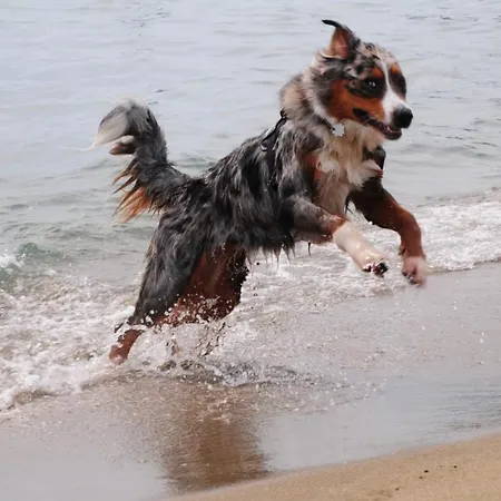 Villaggio Torre Salinas