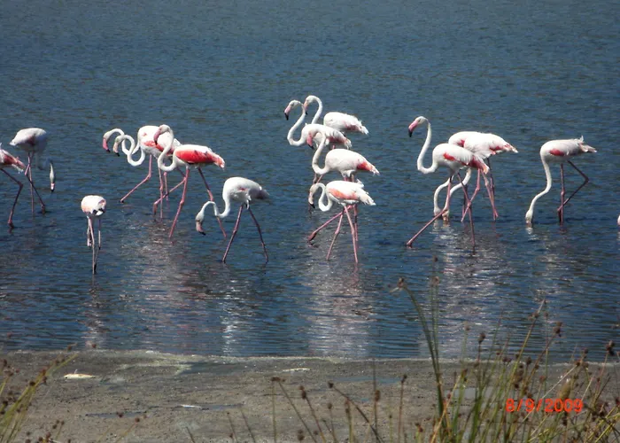 假日公园 维拉基奥露营托雷萨利纳斯度假村 3*